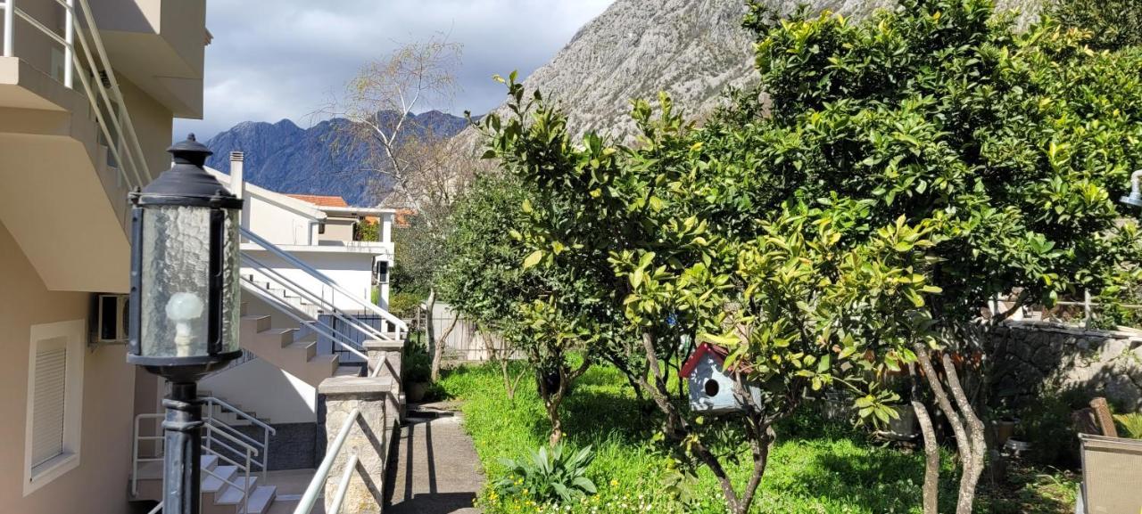 Majka Apartments Kotor Extérieur photo